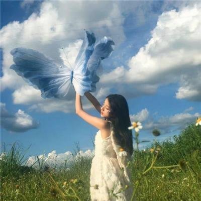 九爷的小玫瑰又野又撩